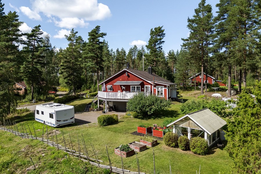 Gråsala 293